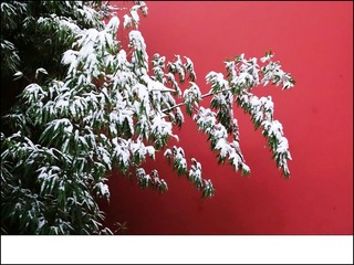 IMG_20131216_103211