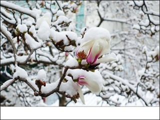 IMG_20131216_103241