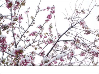 IMG_20131216_103314