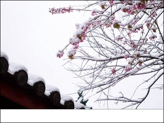 IMG_20131216_103423