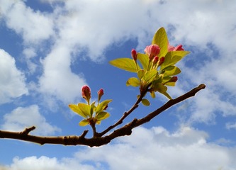 _DSC0471a