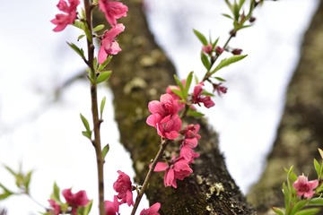 _DSC0334_00009