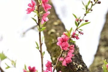 _DSC0335_00010