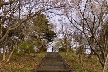 _DSC0336_00011