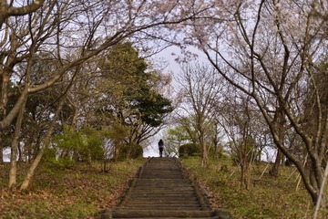 _DSC0337_00012