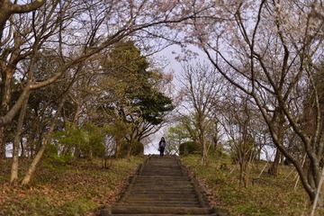 _DSC0338_00013