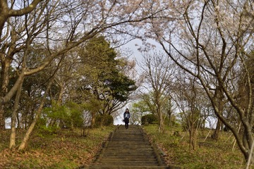 _DSC0339_00014