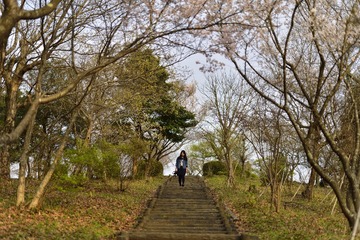 _DSC0341_00016