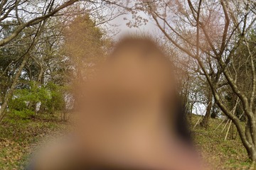 _DSC0357_00031