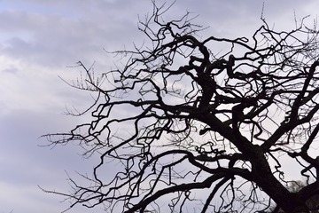_DSC0376_00041