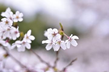 _DSC0398_00049