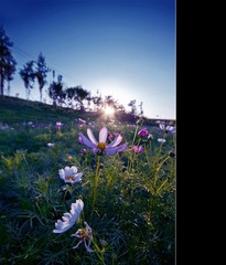 IMG_8639.jpg