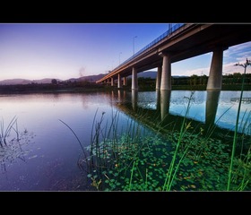 IMG_8666.jpg