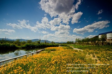 IMG_8680.jpg
