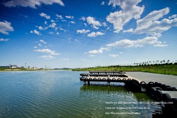 IMG_8747.jpg