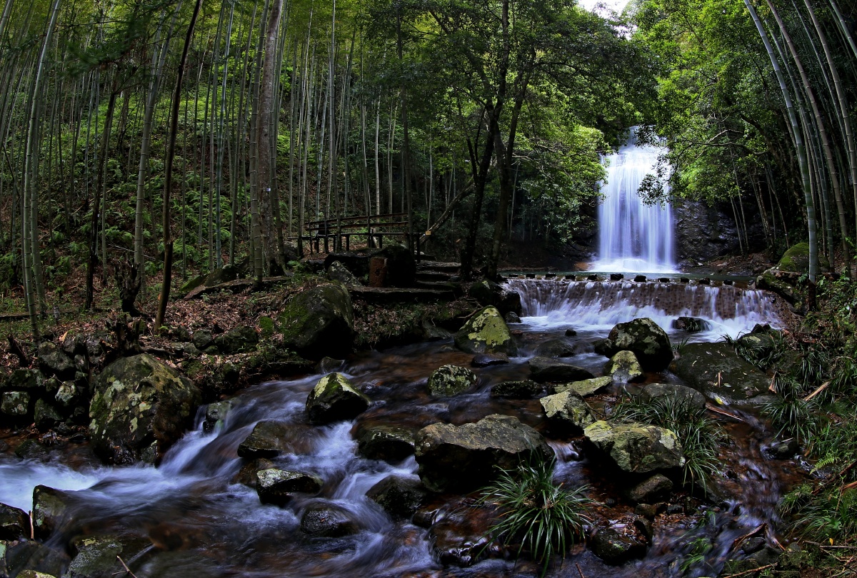 这里是深呼吸的好地方---福建将乐龙栖山国家自然保护区