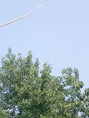356331