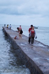DSC04196-1.jpg