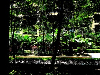 DSC00286_