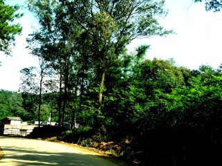 DSC00699_