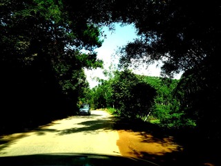 DSC00707_