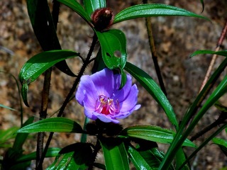 DSC00931_