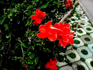 DSC01028_