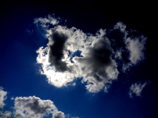 DSC01042_