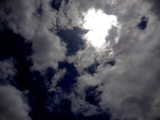 DSC01118_