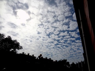 DSC07134_