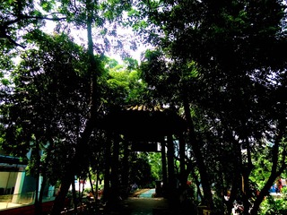 DSC01319_