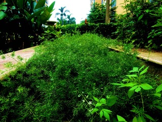DSC01486_