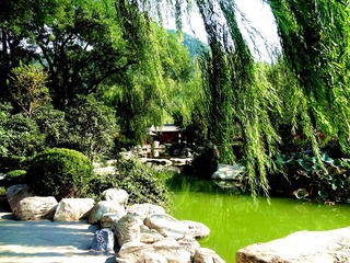 DSC04489_