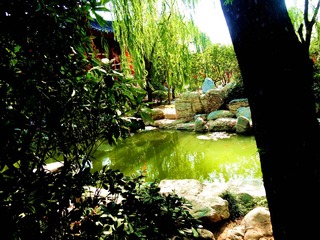 DSC04490_
