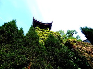 DSC04513_