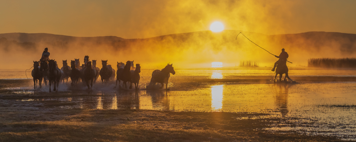 铁马冰河入梦来