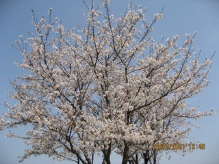 81F69382-E953-4F47-9F99-7B1534B84DB0/L0/001