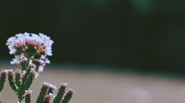 IMG_5270_副本.jpg
