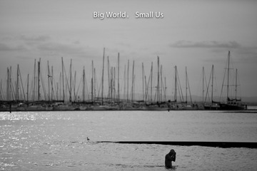 IMG_3619.jpg