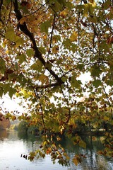 IMG_0683.JPG