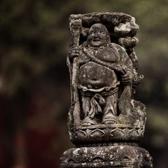 IMG_3070.jpg