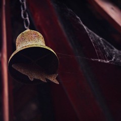 IMG_3071.jpg