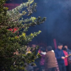 IMG_3086.jpg
