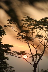 02CB03F5-2A4D-432C-804B-343EA4AA16B9/L0/001