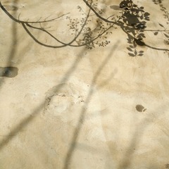 MA201512141233370051-03-000000000