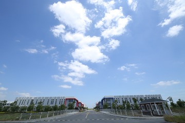IMGL6234
