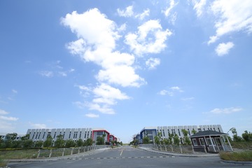 IMGL6235