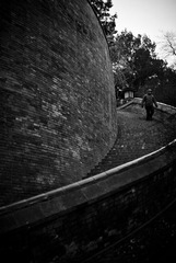 DSCF0039-1.jpg