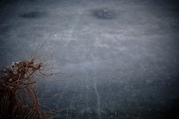 DSCF0099-1.jpg