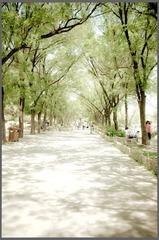 20120526-_DSC7477.jpg